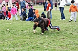 IMG_7626_neo