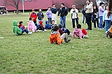 IMG_7664_neo