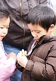 IMG_7691_neo