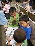 IMG_2858