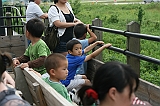 IMG_3487