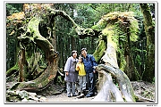 IMG_6082_neo2