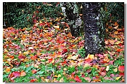 IMG_8160_neo2