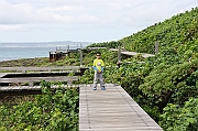 IMG_7421_neo