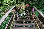 IMG_7024_neo