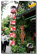 IMG_5834_tp_neo2