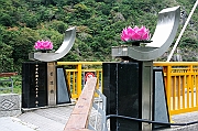 IMG_6685_neo