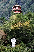 IMG_6690_neo