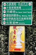 IMG_6706_neo