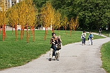 IMG_9833_neo