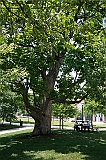 IMG_8463