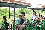 IMG_8712_neo_filtered