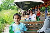IMG_8720_neo_filtered