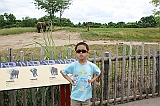 IMG_8796_neo