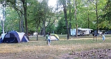 IMG_4334_neo