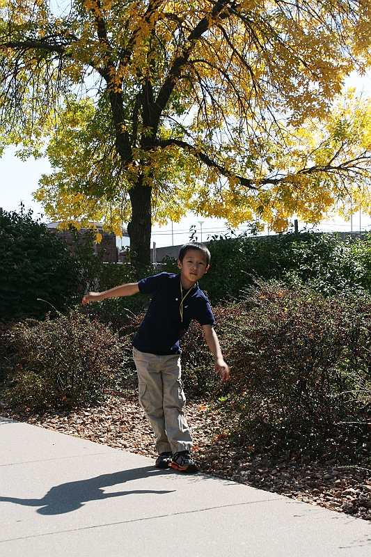 IMG_0869_neo.jpg