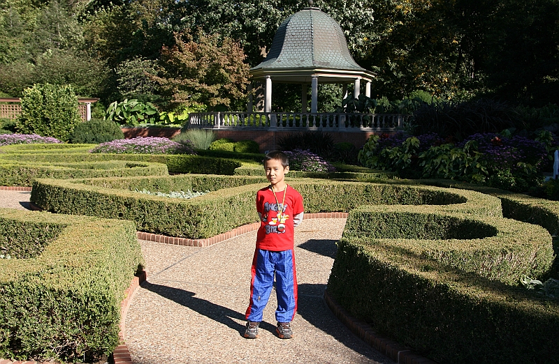 IMG_0070_neo.jpg