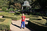 IMG_0070_neo