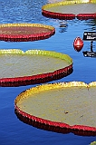 IMG_0125_neo