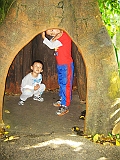IMG_4523_neo