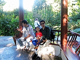 IMG_4555_neo