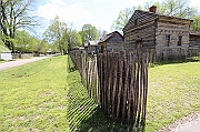 IMG_5115