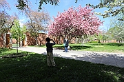 IMG_5130