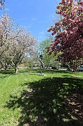 IMG_5136