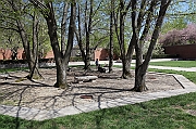 IMG_5169