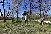 IMG_5184