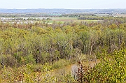 IMG_5311_neo