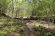 IMG_5395