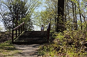 IMG_5686