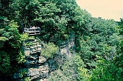 IMG_0406_neo